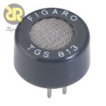 TGS813 pc