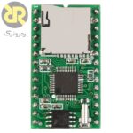 ماژول پخش صدای WT5001M02